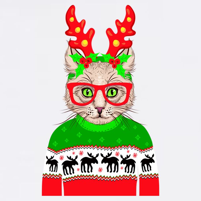 Funny Hipster Christmas Party Cat Apron