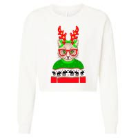 Funny Hipster Christmas Party Cat Cropped Pullover Crew