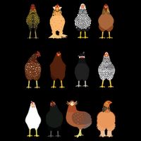 Cute Chicken Breeds Funny Chicken Button