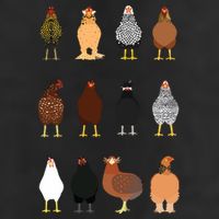 Cute Chicken Breeds Funny Chicken Golf Towel