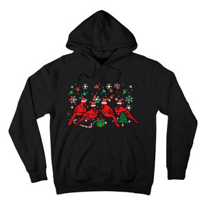 Christmas Cardinal Birds Santa Cute Xmas Hoodie