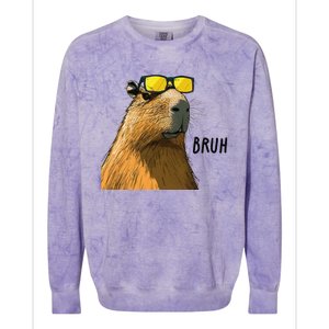 Capybara Cool Bruh In Style Colorblast Crewneck Sweatshirt