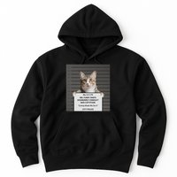 Catnip Cat Bad Cattitude Funny Cat Lover Kitten Gift Hoodie