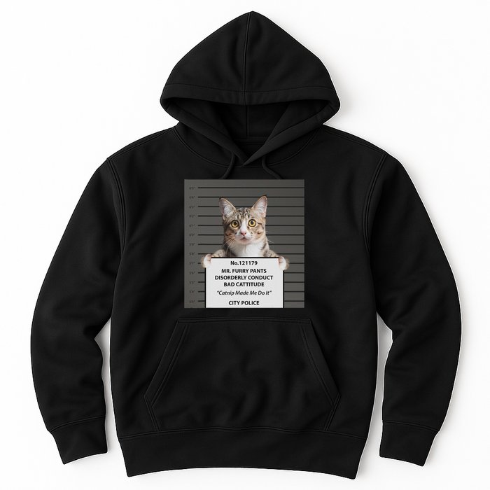 Catnip Cat Bad Cattitude Funny Cat Lover Kitten Gift Hoodie
