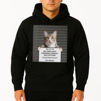 Catnip Cat Bad Cattitude Funny Cat Lover Kitten Gift Hoodie