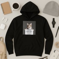 Catnip Cat Bad Cattitude Funny Cat Lover Kitten Gift Hoodie