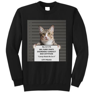 Catnip Cat Bad Cattitude Funny Cat Lover Kitten Gift Sweatshirt
