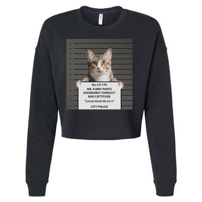 Catnip Cat Bad Cattitude Funny Cat Lover Kitten Gift Cropped Pullover Crew