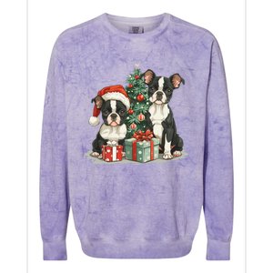 Cute Christmas Boston Terrier Dogs Santa Hat Christmas Tree Colorblast Crewneck Sweatshirt