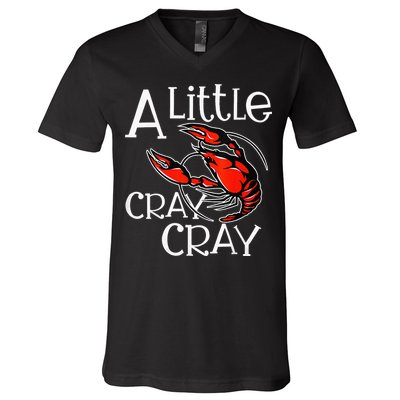 Cajun Crawfish Boil Party A Little Cray Mardi Gras Southern V-Neck T-Shirt