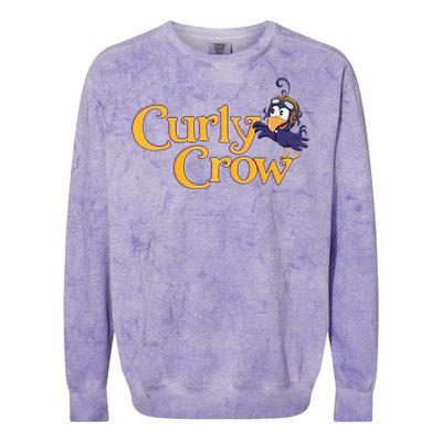 Curly Crow Balloon Book Character  Colorblast Crewneck Sweatshirt