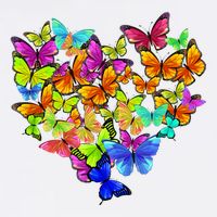 Colorful Cute Butterfly Heart Rainbow Butterflies Tall T-Shirt