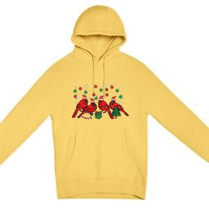 Christmas Cardinal Birds Santa Cute Xmas Funny Funny Premium Pullover Hoodie