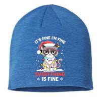 Christmas Cat Cute ItS Fine IM Fine Everything Is Fine Gift Sustainable Beanie