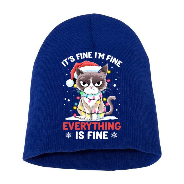 Christmas Cat Cute ItS Fine IM Fine Everything Is Fine Gift Short Acrylic Beanie