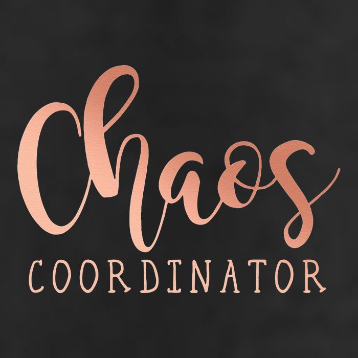 Chaos Coordinator Garment-Dyed Fleece Hoodie