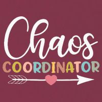Chaos Coordinator 16oz Travel Tumbler