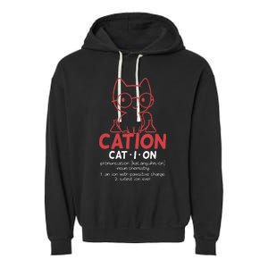 Chemistry Chemist Cation Definition Cat Funny Gift Garment-Dyed Fleece Hoodie