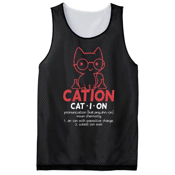 Chemistry Chemist Cation Definition Cat Funny Gift Mesh Reversible Basketball Jersey Tank