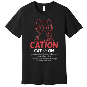 Chemistry Chemist Cation Definition Cat Funny Gift Premium T-Shirt