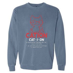 Chemistry Chemist Cation Definition Cat Funny Gift Garment-Dyed Sweatshirt