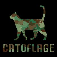 Camo Cat Catoflage Funny Cat Lover Cute Kitten Meow Cats 16 in Basic Backpack