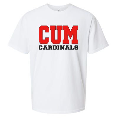 Cum C.A.R.D.I.N.A.L.S Christian University Michigan Sueded Cloud Jersey T-Shirt