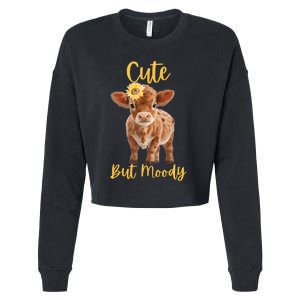 Cute Cowmoody Cow Lovers Farm Cowgirl Baby Cow An Sunflower Cropped Pullover Crew