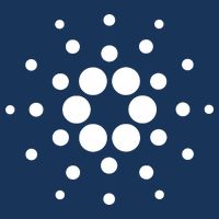 Cardano Crypto Sustainable Bucket Hat