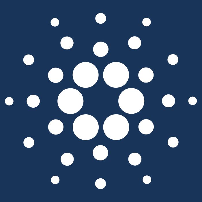 Cardano Crypto Sustainable Bucket Hat