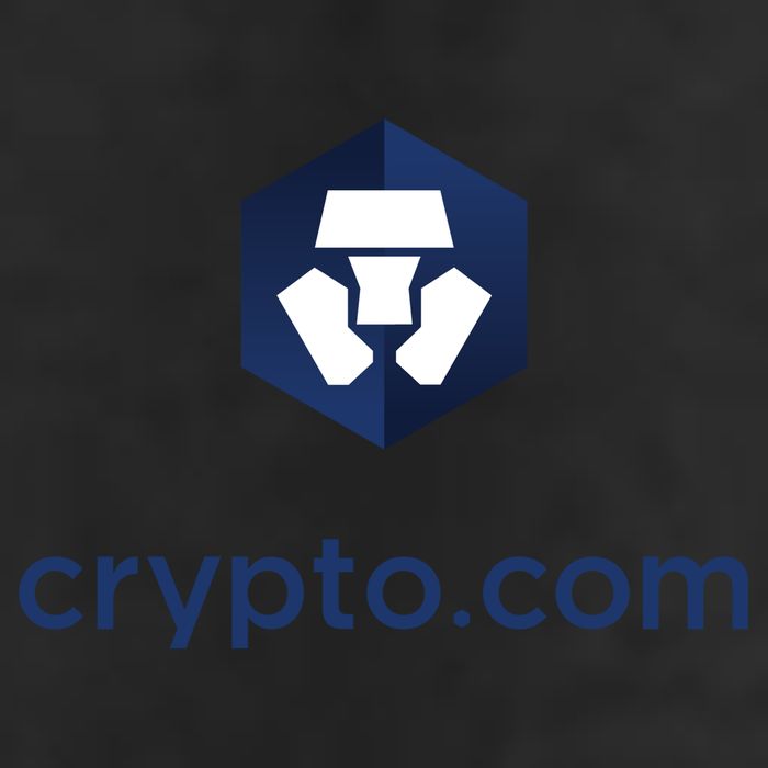 Crypto Com Adult Drive Performance Visor