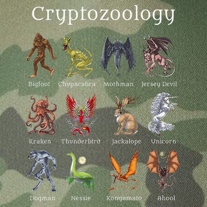 Cryptozoology Cryptid Creatures Fantasy Mythical Monsters Legacy Tie Dye Trucker Hat