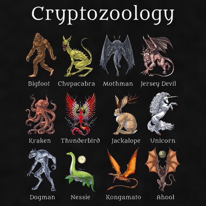 Cryptozoology Cryptid Creatures Fantasy Mythical Monsters Ladies PosiCharge Tri-Blend Wicking Tank