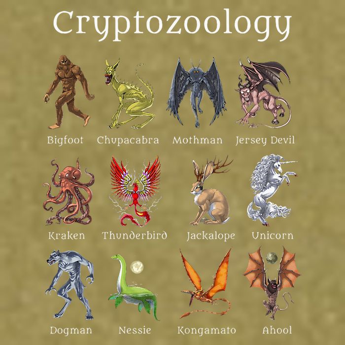 Cryptozoology Cryptid Creatures Fantasy Mythical Monsters Garment-Dyed Women's Muscle Tee