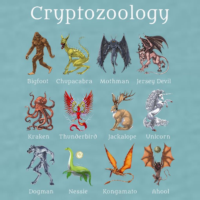 Cryptozoology Cryptid Creatures Fantasy Mythical Monsters Sueded Cloud Jersey T-Shirt