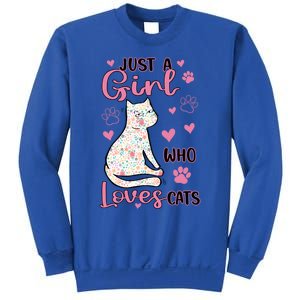 Cute Colorful Cat Mom Appreciation Just A Who Loves Cat Gift Sweatshirt