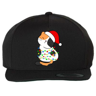 Calico Cat Christmas Tree Lights Santa Hat Funny Cat Lovers Funny Gift Wool Snapback Cap