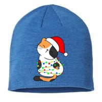 Calico Cat Christmas Tree Lights Santa Hat Funny Cat Lovers Funny Gift Sustainable Beanie