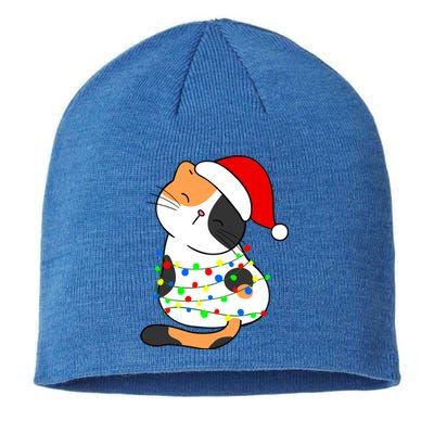 Calico Cat Christmas Tree Lights Santa Hat Funny Cat Lovers Funny Gift Sustainable Beanie