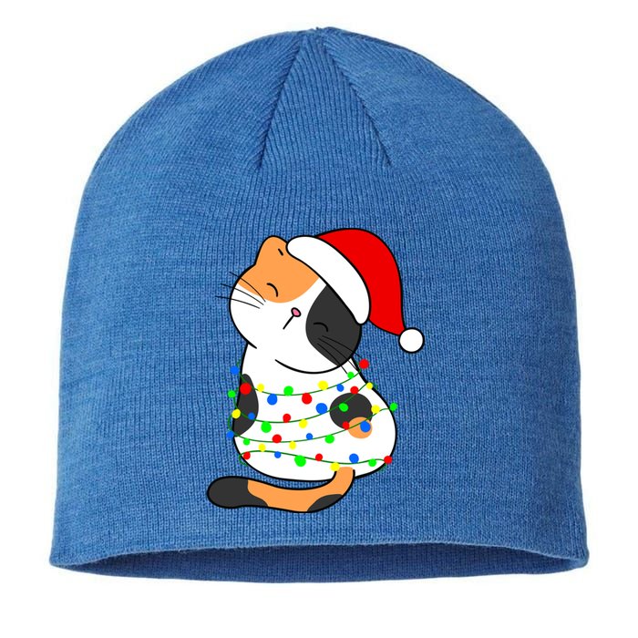 Calico Cat Christmas Tree Lights Santa Hat Funny Cat Lovers Funny Gift Sustainable Beanie