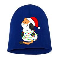 Calico Cat Christmas Tree Lights Santa Hat Funny Cat Lovers Funny Gift Short Acrylic Beanie