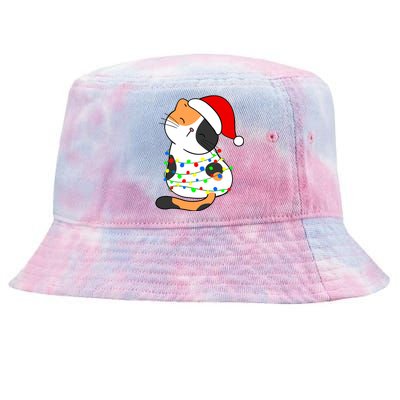 Calico Cat Christmas Tree Lights Santa Hat Funny Cat Lovers Funny Gift Tie-Dyed Bucket Hat