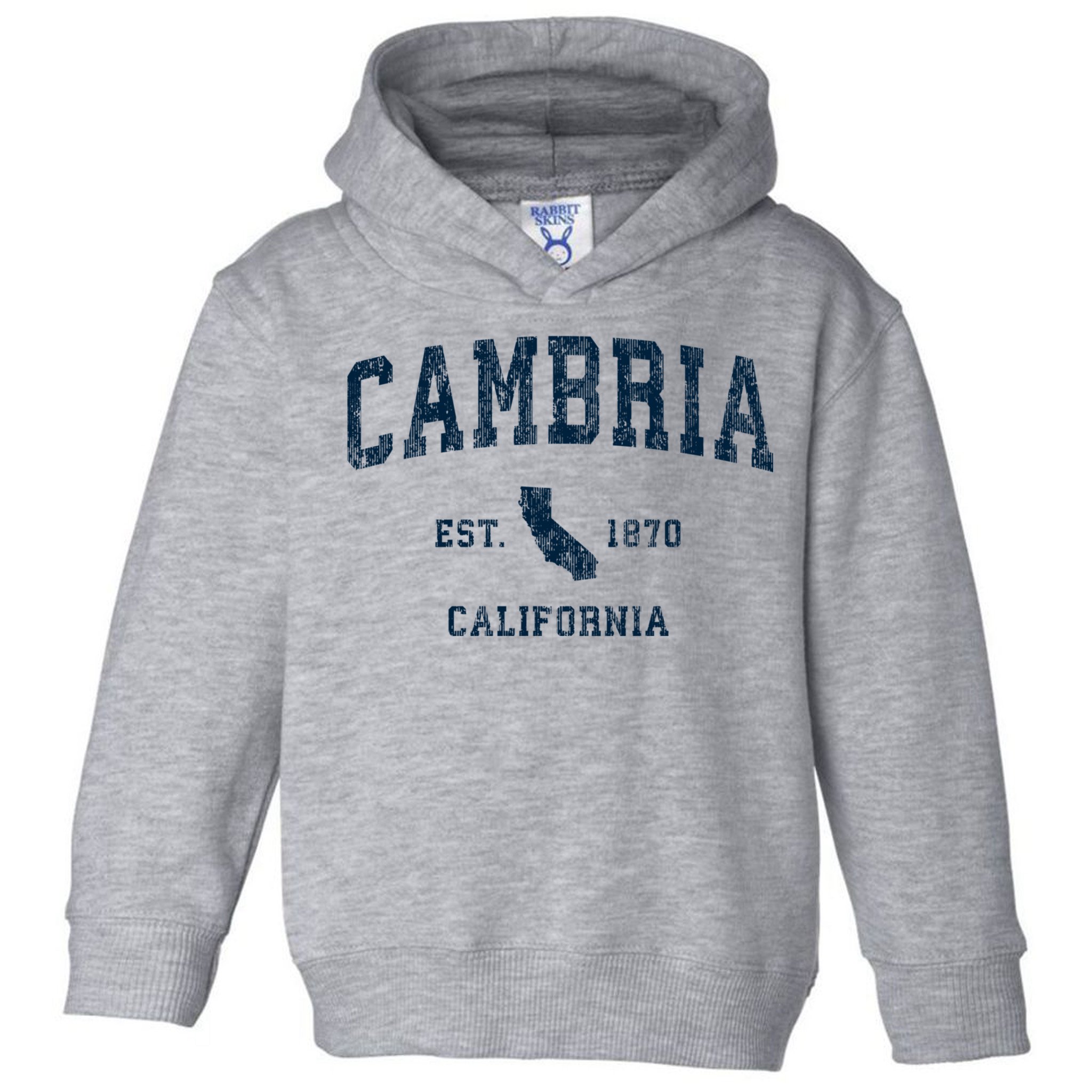 Cambria California Ca Vintage Sports Toddler Hoodie
