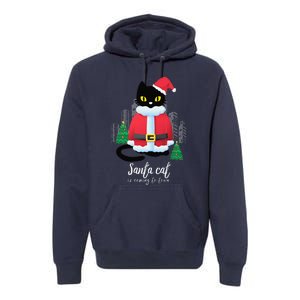 Christmas Cat Cute Humor Santa Is Coming To Town Cat Lover Premium Hoodie