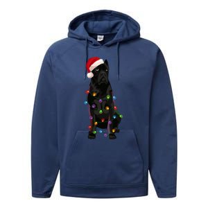 Cane Corso Christmas Lights Xmas Dog Lover Meaningful Gift Performance Fleece Hoodie