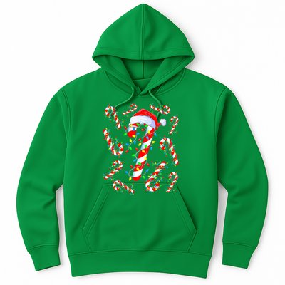 Christmas Candy Cane Santa Lights Hoodie