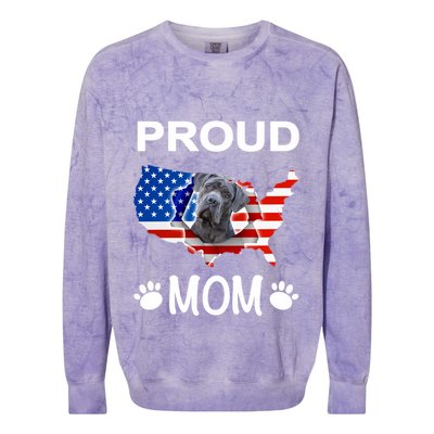 Cane Corso Cane Corso Dog Cane Corso Proud Patriot Mom Gift Colorblast Crewneck Sweatshirt