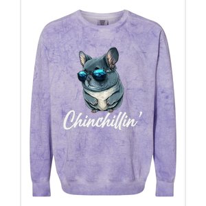 Chinchilla Chinchillin Chinchilla Lovers Funny Colorblast Crewneck Sweatshirt