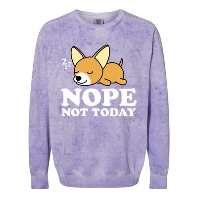 Cute Chiwawa Chihuahua Dog Animal Lover Funny Nope Not Today Gift Colorblast Crewneck Sweatshirt