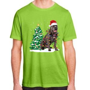 Cane Corso Christmas Tree Lights Santa Dog Xmas Funny Gift Boys Gift Adult ChromaSoft Performance T-Shirt